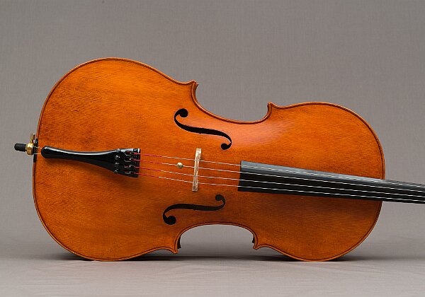 Violoncello