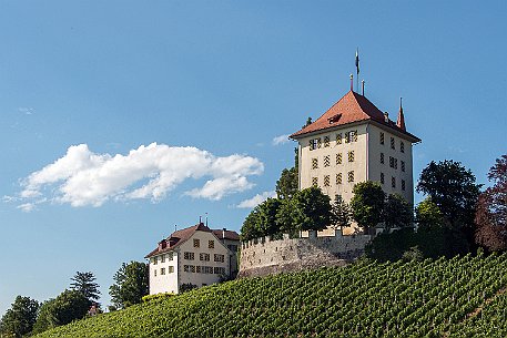 Schloss Heidegg 1185 wird das Geschlecht der Herren von Heidegg erstmals urkundlich fassbar. Als Ministerialen standen sie im Dienst der Grafen von Kyburg, dann der Habsburger....