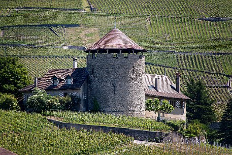 Mit dem Schiff auf dem Genfersee Richtung Schloss Cillion