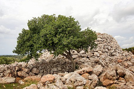 Menorca | Torralba