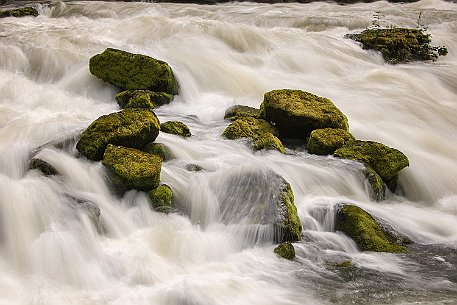 Saut-du-Doubs | Lac des Brenets