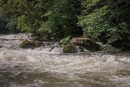 Saut-du-Doubs | Lac des Brenets